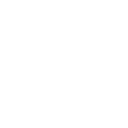 Record Cassette 1 3WQTEKV.png