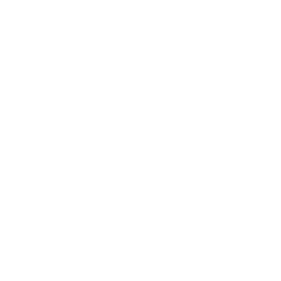 Voice 1 3WQTEKV.png